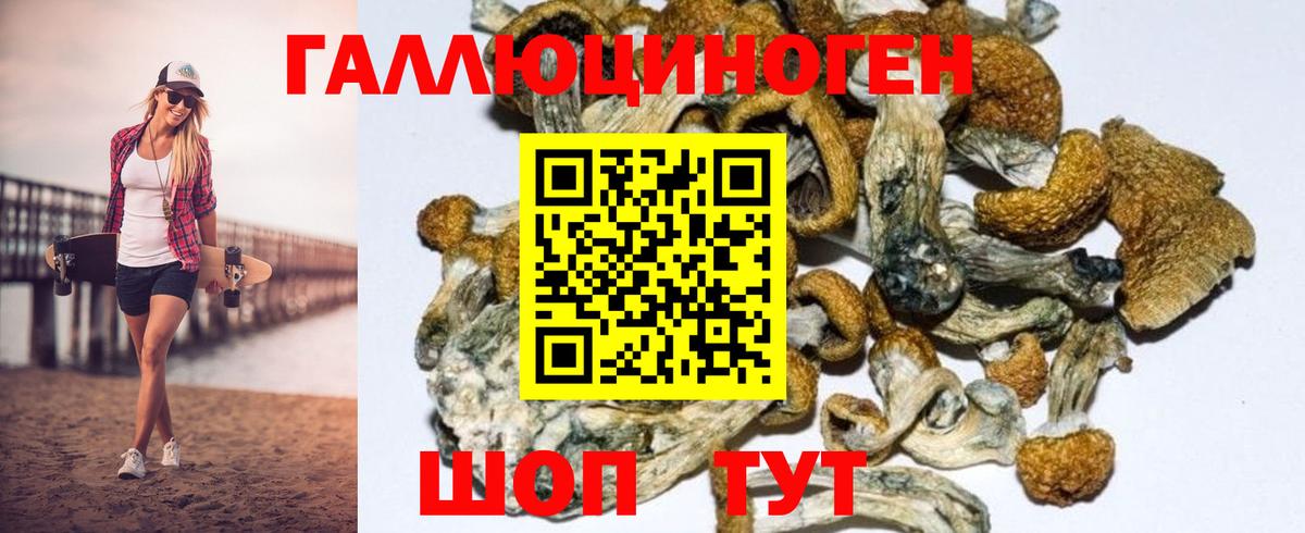 Псилоцибиновые грибы Magic Shrooms  Вход с VPN  Екатеринбург 
