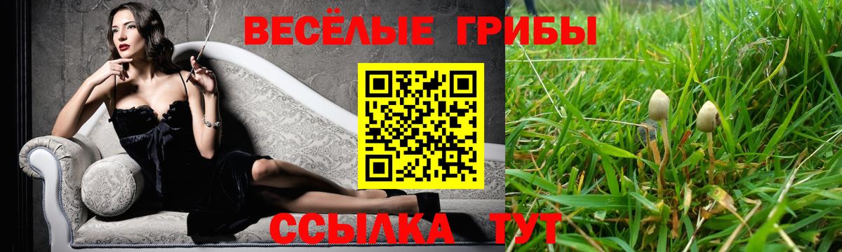 Галлюциногенные грибы мухоморы Екатеринбург